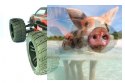 Himoto Bowie 2.4GHz Off-Road Truck- 31801