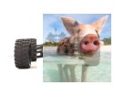 Himoto Bowie 2.4GHz Off-Road Truck- 31801