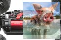 Himoto Bowie 2.4GHz Off-Road Truck Brushless - 31801
