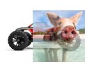 Himoto Bowie 2.4GHz Off-Road Truck Brushless - 31801