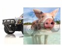 Himoto Corr Truck 4x4 2.4GHz RTR (HSP Rally Monster)- 10715