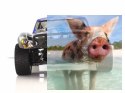 Himoto Corr Truck Brushless 2.4GHz (HSP Rally Monster)- 17092