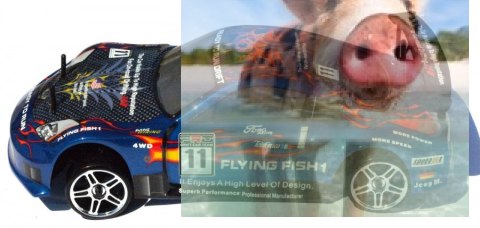 Himoto DRIFT TC 1:10 2.4GHz RTR (HSP Flying Fish 1) - 12307 Himoto DRIFT TC 1:10 2.4GHz RTR (HSP Flying Fish 1) - 12307