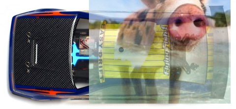 Himoto DRIFT TC 1:10 2.4GHz RTR (HSP Flying Fish 1) - 12317 Himoto DRIFT TC 1:10 2.4GHz RTR (HSP Flying Fish 1) - 12317