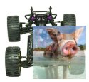 Himoto EMXT-1 2.4GHz (HSP Brontosaurus) - 10322