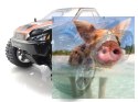 Himoto EMXT-1 Brushless 1:10 4WD 2.4GHz RTR (HSP Brontosaurus PRO) - 10325