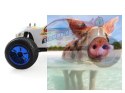 Himoto Eamba XR1 Brushless 2.4GHz- 10713