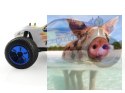 Himoto Eamba XR1 Brushless 2.4GHz- 10715