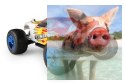 Himoto Eamba XR1 Brushless 2.4GHz- 10716