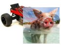 Himoto Katana Bezszczotkowy Off Road Truggy 1:10 4WD 2.4GHz RTR- 31501