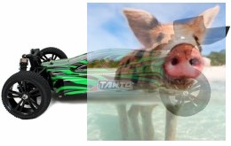 Himoto Tanto Buggy 1:10 4WD 2.4GHz RTR- 31301