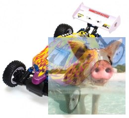 Himoto ZMOTOZ3 Buggy 1:10 2.4GHz RTR (HSP XSTR)- 10211