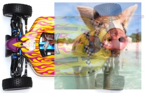 Himoto ZMOTOZ3 Buggy 1:10 2.4GHz RTR (HSP XSTR)- 10211 Himoto ZMOTOZ3 Buggy 1:10 2.4GHz RTR (HSP XSTR)- 10211
