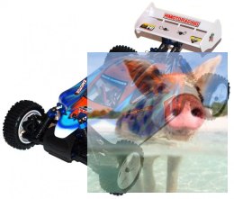 Himoto ZMOTOZ3 Buggy 1:10 2.4GHz RTR (HSP XSTR)- 10313