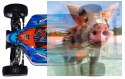 Himoto ZMOTOZ3 Buggy 1:10 2.4GHz RTR (HSP XSTR)- 10313