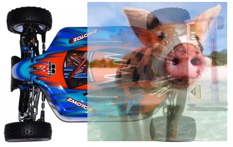 Himoto ZMOTOZ3 Buggy 1:10 2.4GHz RTR (HSP XSTR)- 10313 Himoto ZMOTOZ3 Buggy 1:10 2.4GHz RTR (HSP XSTR)- 10313