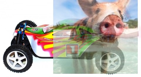 Himoto ZMOTOZ3 Buggy 1:10 2.4GHz RTR (HSP XSTR)- 10314 Himoto ZMOTOZ3 Buggy 1:10 2.4GHz RTR (HSP XSTR)- 10314