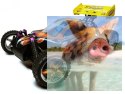 Himoto ZMOTOZ3 Buggy 1:10 2.4GHz RTR (HSP XSTR) - 66001
