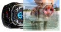 Interceptor Nascada Brushless 1:10 2.4GHz 4x4 RTR- 10121