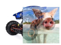 Pangolin Crawler 2.4GHz 1:10 4x4 2.4GHz - Niebieski