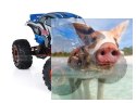 Pangolin Crawler 2.4GHz 1:10 4x4 2.4GHz - Niebieski