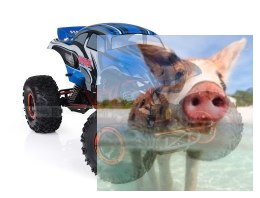 Pangolin Crawler 2.4GHz 1:10 4x4 2.4GHz - Niebieski