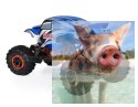 Pangolin Crawler 2.4GHz 1:10 4x4 2.4GHz - Niebieski