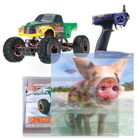 Pangolin Crawler 2.4GHz 1:10 4x4 2.4GHz - Pomarańczowy Pangolin Crawler 2.4GHz 1:10 4x4 2.4GHz - Pomarańczowy