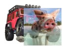 Rock Crawler 1:10, 4WD 2.4GHz - R0256R