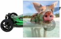 Tanto Bezszczotkowy Buggy 1:10 4WD 2.4GHz RTR - 31311