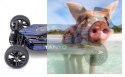 Tanto Buggy 1:10 4WD 2.4GHz RTR - 31300