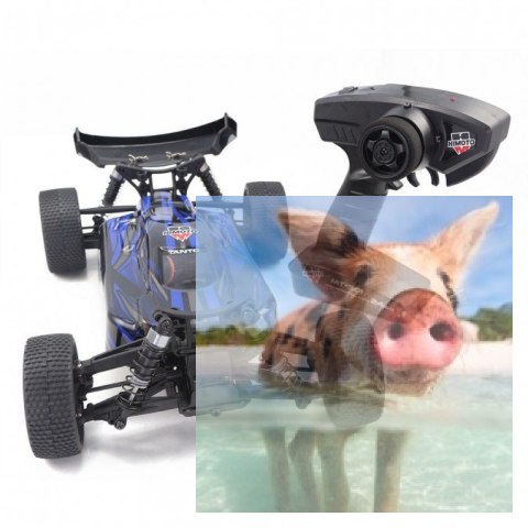 Tanto Buggy 1:10 4WD 2.4GHz RTR - 31300 Tanto Buggy 1:10 4WD 2.4GHz RTR - 31300