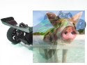 Tanto Buggy 1:10 4WD 2.4GHz RTR - 31311