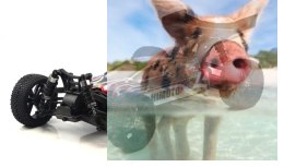 Tanto Buggy 1:10 4WD 2.4GHz RTR - 31313