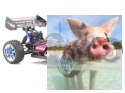 ZMOTOZ3 Brushless 1:10 2.4GHz RTR (HSP XSTR PRO) - 10718