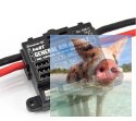 Telemetryczny moduł lotniczy HoTT 2,4 GHz 2-6s, VARIO