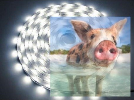 Zestaw oświetlenia LED - Listwa RGB 2m + Kontroler 5V Zestaw oświetlenia LED - Listwa RGB 2m + Kontroler 5V