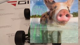 Himoto Katana Off Road Truggy 1:10 4WD 2.4GHz RTR - UŻYWANY (sprawny)