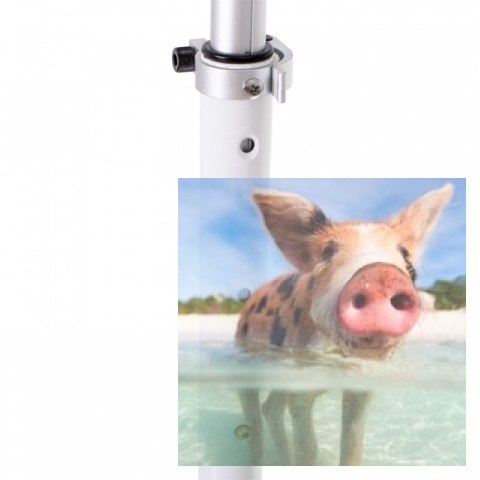 Hulajnoga miejska składana AILO (koła 200mm, szer. podestu 140mm, amortyzator tył/przód) - biała Hulajnoga miejska składana AILO (koła 200mm, szer. podestu 140mm, amortyzator tył/przód) - biała