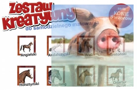 KONIE - Wypukła Malowanka Seria KONIE - Lipicański KONIE - Wypukła Malowanka Seria KONIE - Lipicański