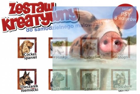 PSY - Wypukła Malowanka Seria PSY - LABRADOR PSY - Wypukła Malowanka Seria PSY - LABRADOR