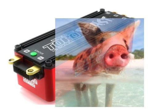 Regulator Obrotów Toro Beast 1:5 200A ESC (brak możliwości zaprogramowania)