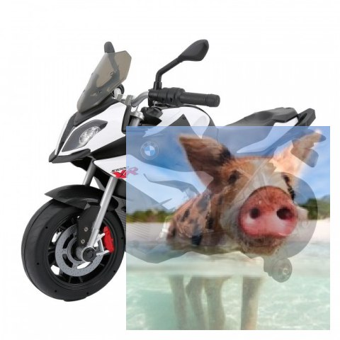 BMW S1000XR (akumulator) - biały BMW S1000XR (akumulator) - biały