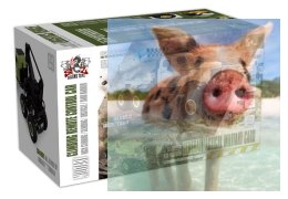 Ciężarówka wojskowa SL-196A (1:16, 6WD, 2.4G) Zielona