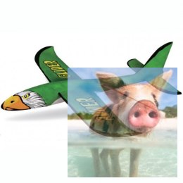 Szybowiec DIY Glider do ręcznego malowania