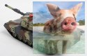 Abrams M1A2 2.4GHz RTR 1:24 - Zielony