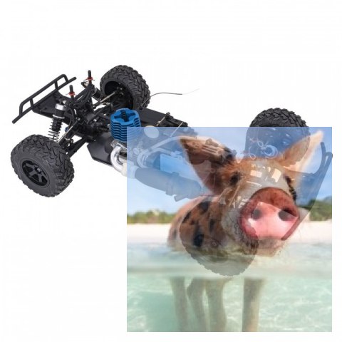 DT5 N1 2.4GHz Nitro - R0143 DT5 N1 2.4GHz Nitro - R0143