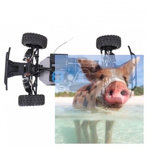 DT5 N1 2.4GHz Nitro - R0143 DT5 N1 2.4GHz Nitro - R0143