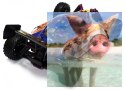 Himoto Syclone 2.4GHz Nitro (HSP Condor) - 10412