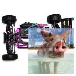 Himoto Syclone Pro 2.4GHz Nitro (HSP Condor PRO) - 10311